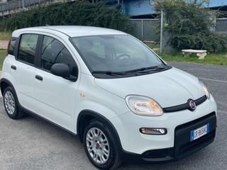 FIAT Panda usata 18