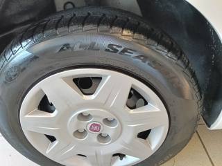 FIAT Punto usata 20