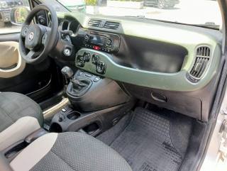 FIAT Panda usata, con Cronologia tagliandi