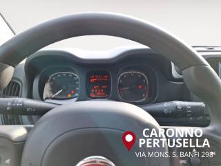 FIAT Panda usata, con Servosterzo