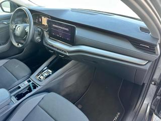 SKODA Octavia usata, con Fendinebbia