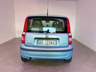 FIAT Panda usata 13