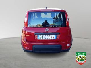 FIAT Panda usata, con Chiusura centralizzata