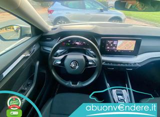 SKODA Octavia usata, con Fendinebbia