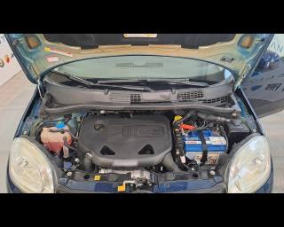 FIAT New Panda usata 22