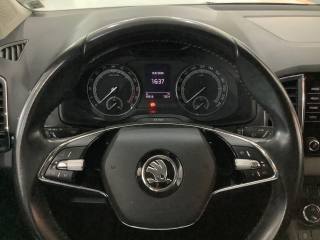 SKODA Karoq usata, con Autoradio digitale