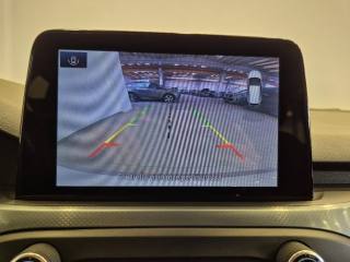 FORD Focus usata, con Fendinebbia