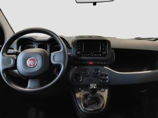 FIAT Panda usata 8