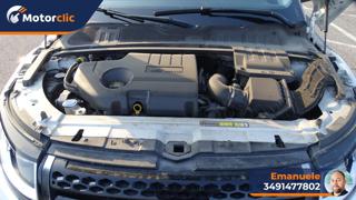 LAND ROVER Range Rover Evoque usata 71