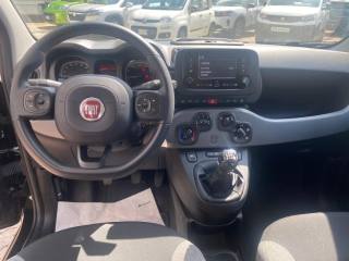 FIAT Panda usata, con Controllo trazione