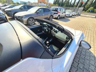 ALFA ROMEO 4C usata, con Climatizzatore