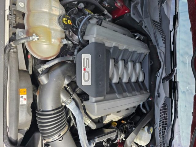 FORD Mustang usata, con Fendinebbia