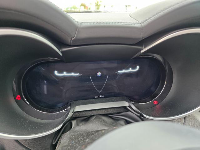 ALFA ROMEO Stelvio usata, con Cronologia tagliandi