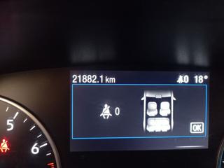 FORD EcoSport usata, con Controllo trazione
