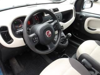 FIAT Panda usata, con Fendinebbia
