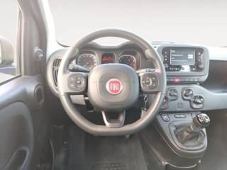 FIAT Panda usata, con Immobilizzatore elettronico