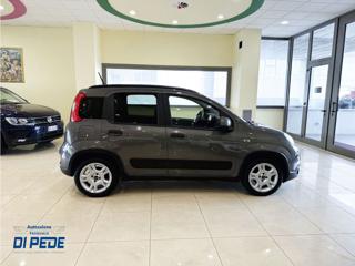 FIAT Panda usata, con ESP