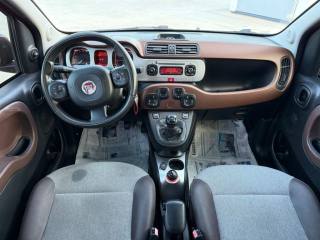 FIAT Panda Cross usata 19