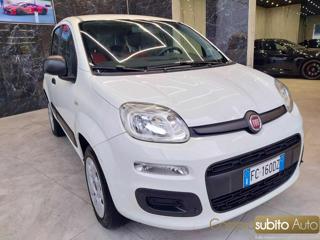 FIAT Panda usata, con Airbag Passeggero