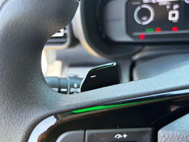 FIAT E-Doblo usata, con Vivavoce
