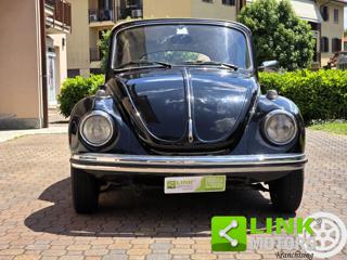 VOLKSWAGEN Maggiolone usata 7