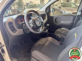 FIAT Panda usata, con Boardcomputer