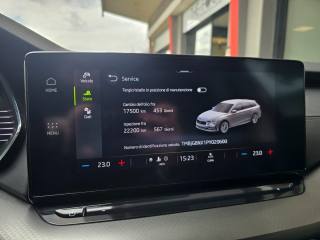 SKODA Octavia usata 157