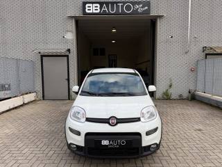 FIAT Panda 1.0 FireFly S&S Hybrid Sport