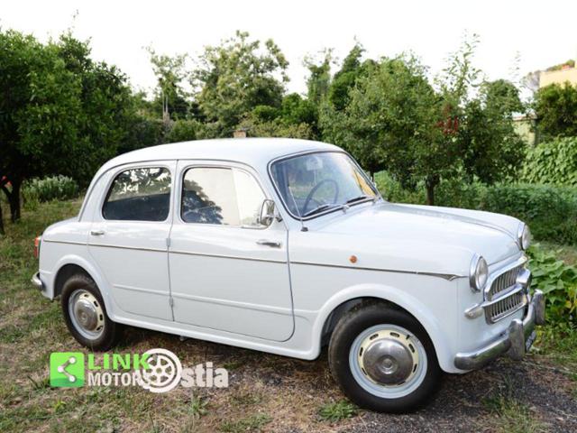 FIAT 1100 usata 39