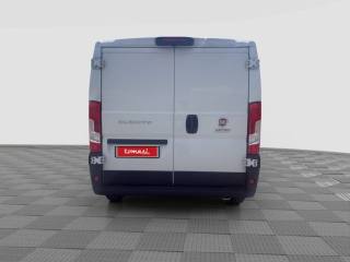 FIAT Ducato usata 3