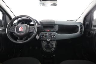FIAT Panda usata 4