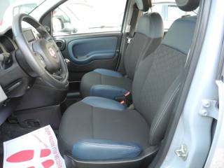 FIAT Panda Cross usata, con Interni in pelle