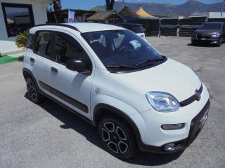 FIAT Panda usata 18
