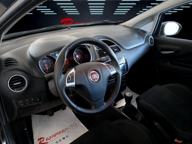 FIAT Punto usata 12