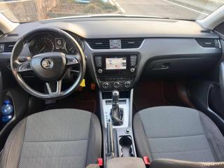 SKODA Octavia usata, con Fendinebbia