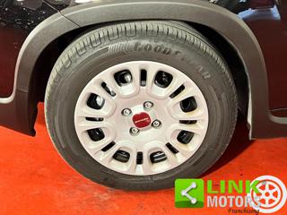 FIAT Panda usata 22