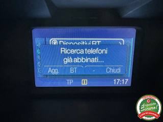 FORD EcoSport usata, con Cruise Control