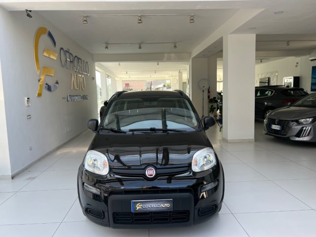 FIAT Panda usata, con Airbag Passeggero
