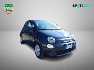 FIAT 500 usata 19