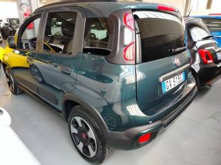 FIAT Panda Cross usata, con Fendinebbia