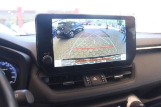 TOYOTA RAV 4 usata, con Specchietti laterali elettrici