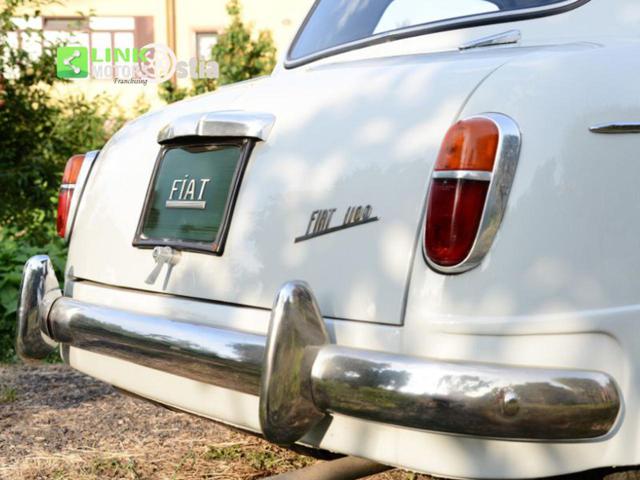 FIAT 1100 usata 33