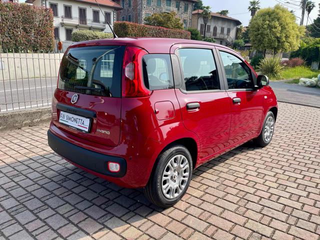 FIAT Panda usata, con Alzacristalli elettrici