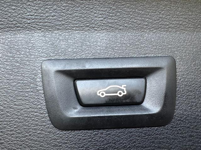 BMW X1 usata, con Alzacristalli elettrici