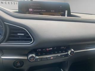 MAZDA CX-30 usata, con Airbag testa