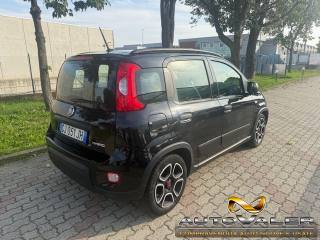 FIAT Panda usata, con Alzacristalli elettrici