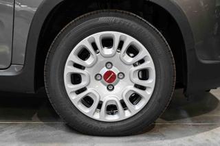 FIAT Panda usata, con Controllo trazione