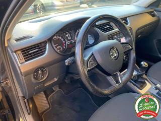 SKODA Octavia usata, con Controllo trazione