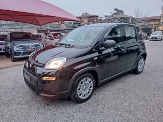 FIAT Panda usata, con Airbag Passeggero