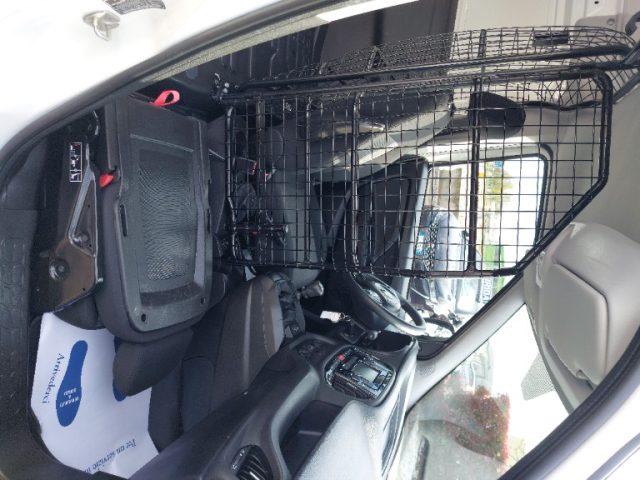 FIAT Doblo usata, con Cronologia tagliandi